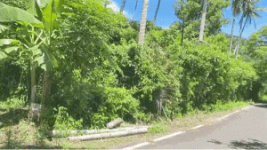 Lahan Kosong Sabang